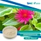 Andrographolide is a bioactive compound found in the Andrographis paniculata plant that is known for its medicinal benefits.